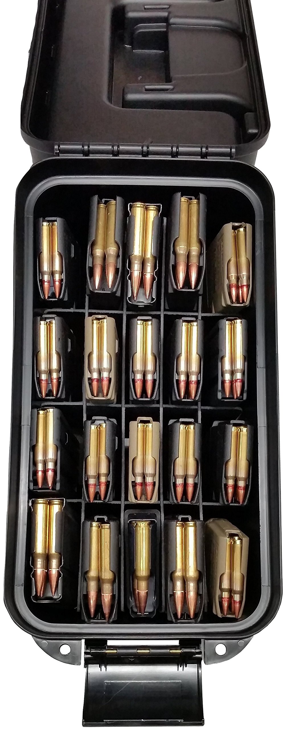 Amazon.com: Case Club x20 Rifle Magazine (.223/5.56) Storage Box